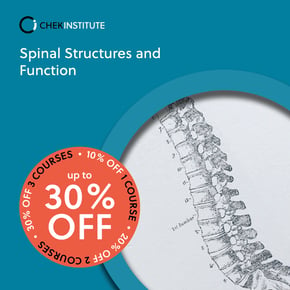 Spinal Structures