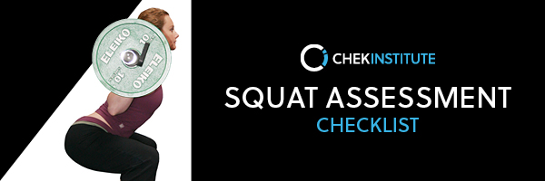 Squat Assessment Checklist